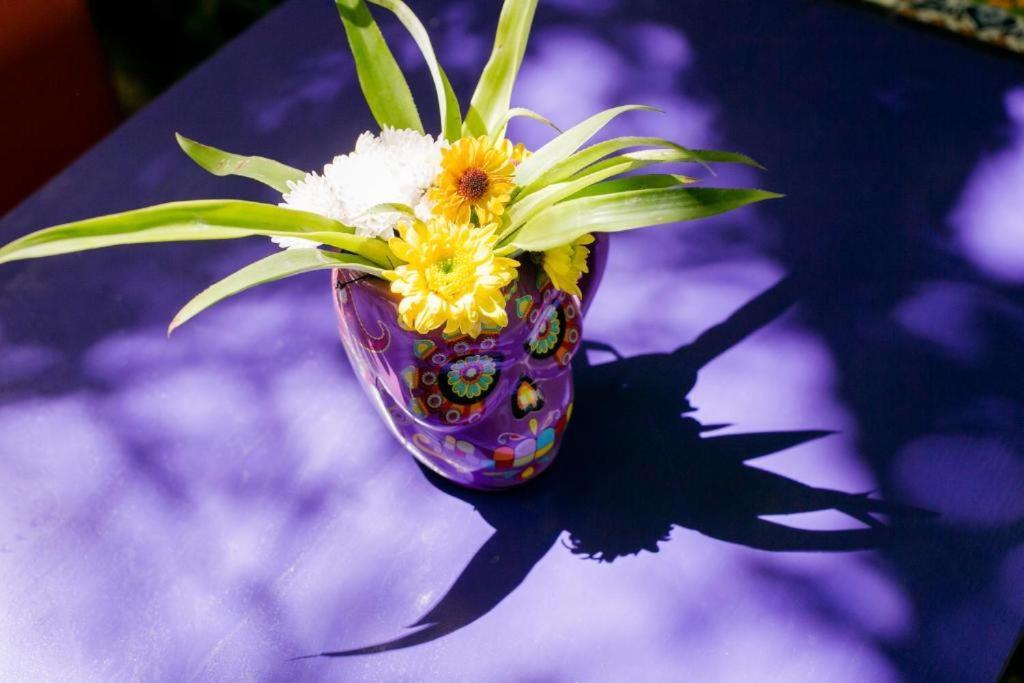 Bed and breakfast Vainilla Mexico Playa del Carmen