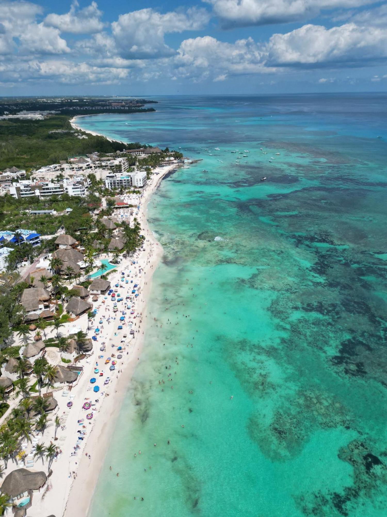 Vainilla Mexico Playa del Carmen