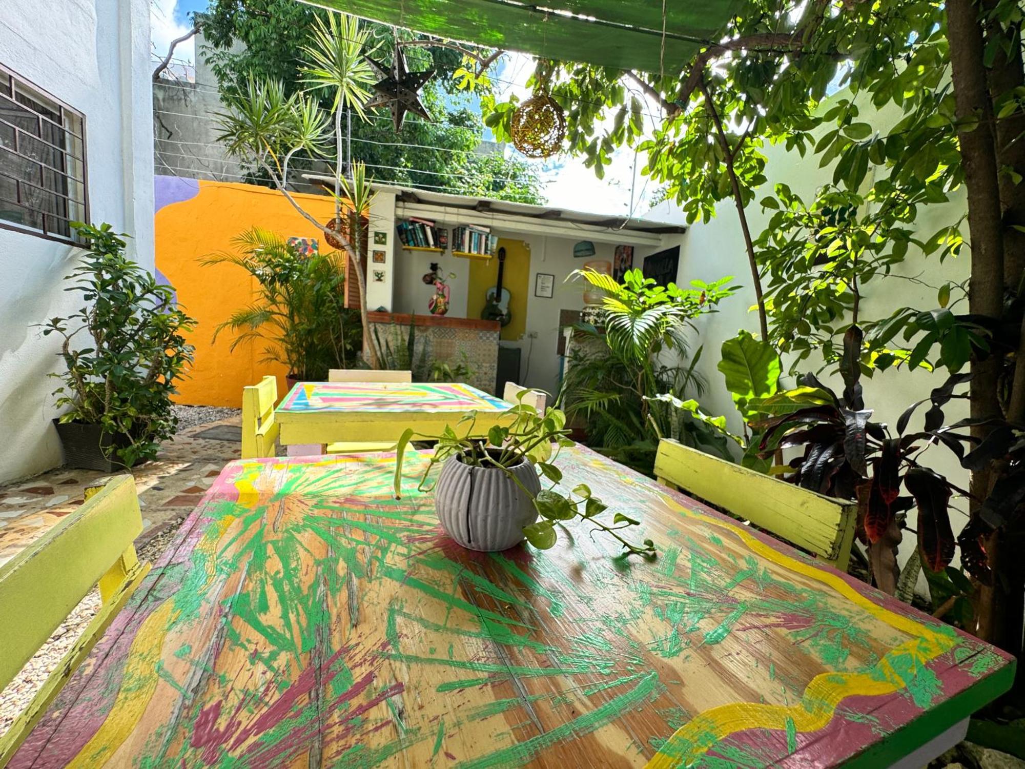 Vainilla Mexico
