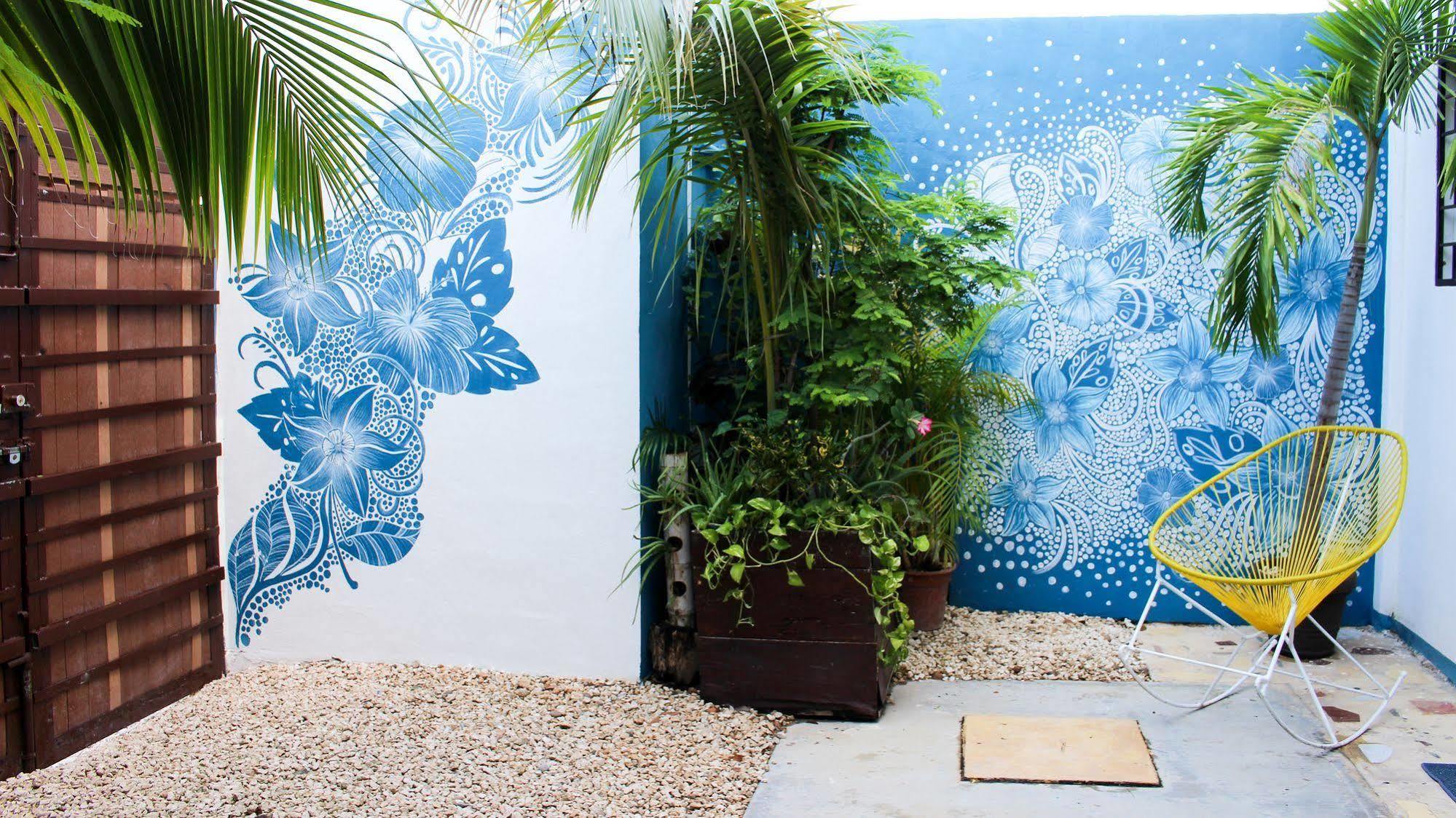 Vainilla Mexico Bed and breakfast 2*
