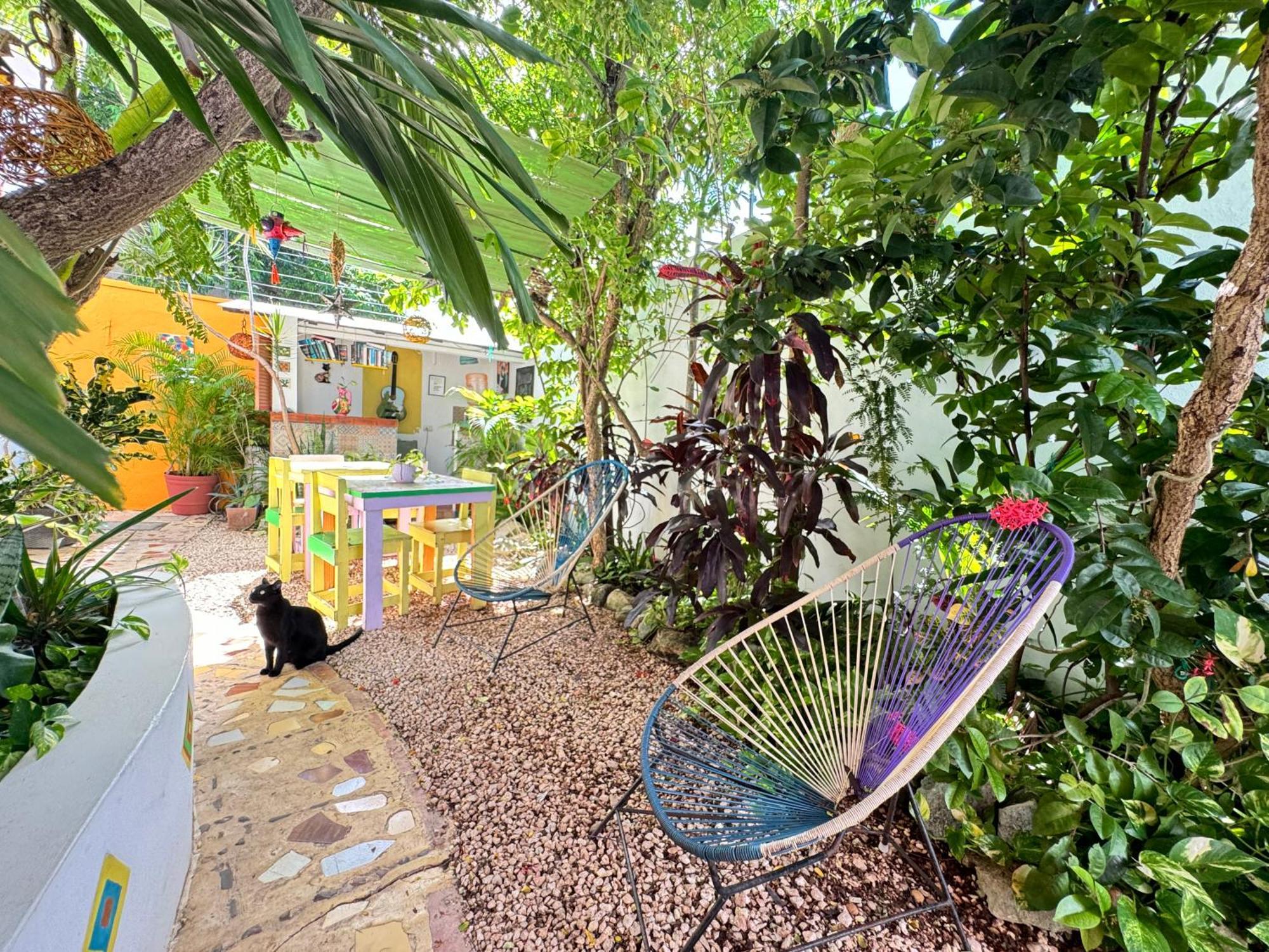 Bed and breakfast Vainilla Mexico