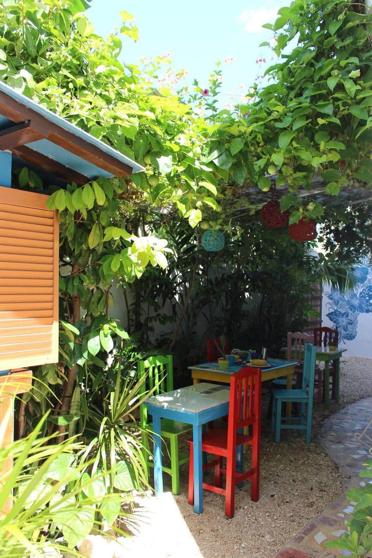 Bed and breakfast Vainilla Mexico 2*